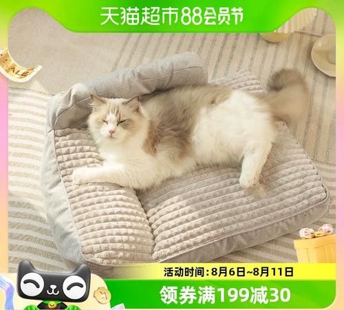 一屋子宠物猫 动物 第1张