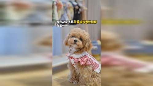 给它们一个属于自己的家！