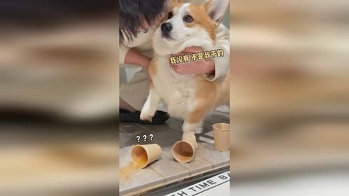 不能随便让男人养狗的理由又多了一个！！！