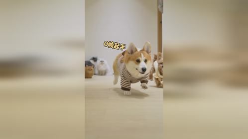 哟～这半挂起步还挺快！
