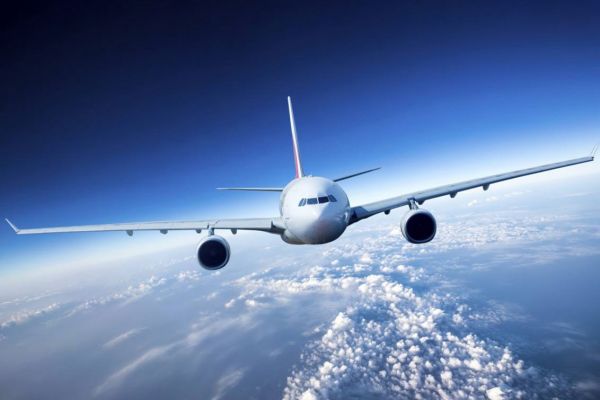惠州国内空运宠物公司