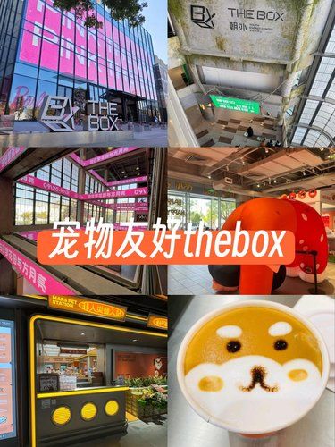 潮流打卡地，你来过吗？