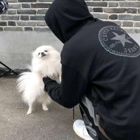 男生与狗狗头像男生与狗狗头像图片
