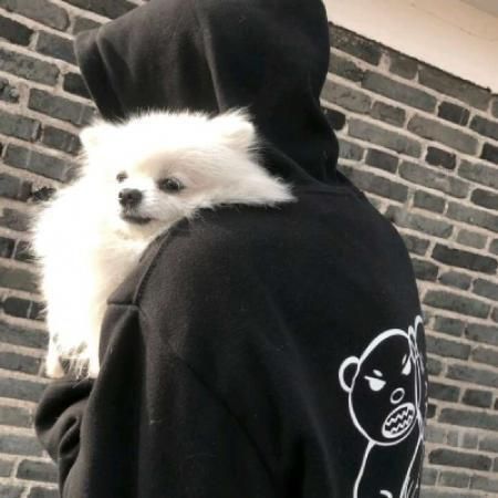 男生与狗狗头像男生与狗狗头像图片