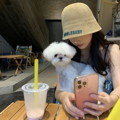 超ins和狗狗头像_女生头像_我要个性网