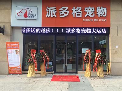 宠物店创业计划书,创业计划书模板