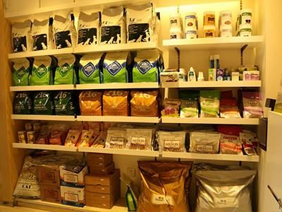 宠物店创业计划书,创业计划书模板