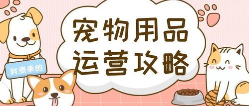 宠物商店购买指南？如何挑选适合自己的宠物用品