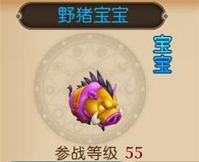 宠物商店购买指南？如何挑选适合自己的宠物用品