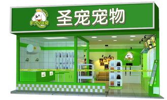 聊城宠物店：宠物用品购买指南？聊城市最受欢迎的宠物店排行榜