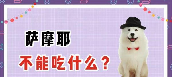 猫咪和狗狗在分离焦虑症表现上的不同