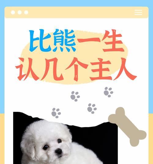 养猫和养狗 费用比较