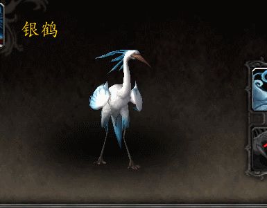 魔兽世界9.0银鹤怎么样 新小宠物银鹤介绍