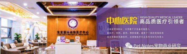 走高端路线，对宠爱国际门店分布的总结性论述