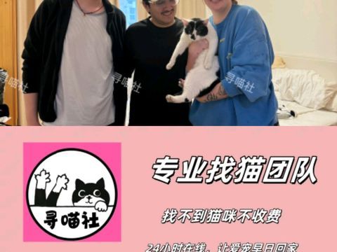找猫团队寻喵社·服务全上海上海专业找猫团队、24小时随时可上门宠物搜救、宠物猫找回