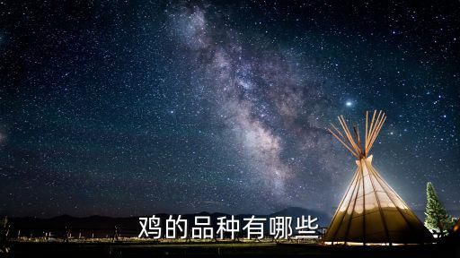 鸡的品种有哪些