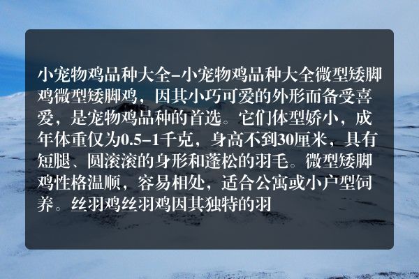 小宠物鸡品种大全-小宠物鸡品种大全