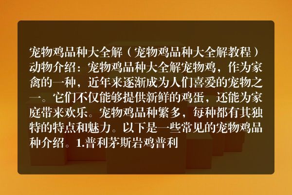 宠物鸡品种大全解（宠物鸡品种大全解教程）