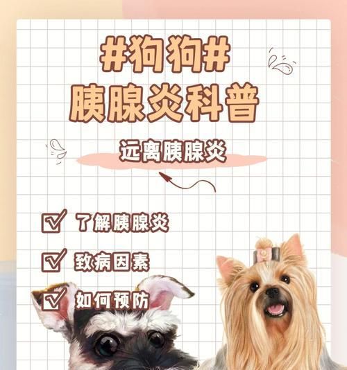 有胰腺炎的狗可以吃什么肉？（肉类选择要讲究，注意狗的饮食安全）