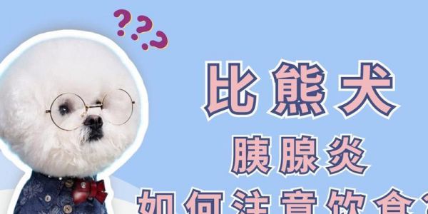 狗狗胰腺炎引发尿失禁（狗狗胰腺炎对尿失禁的影响及应对措施）