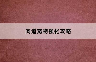 问道宠物强化攻略