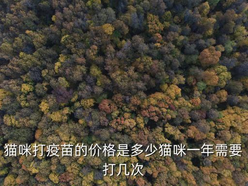 猫咪打疫苗的价格是多少猫咪一年需要打几次