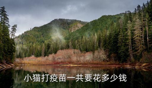 小猫打疫苗一共要花多少钱