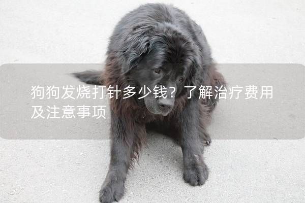 狗狗发烧打针多少钱？了解治疗费用及注意事项