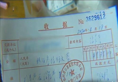 宠物打针多少钱？？全国宠物打针价格一览表