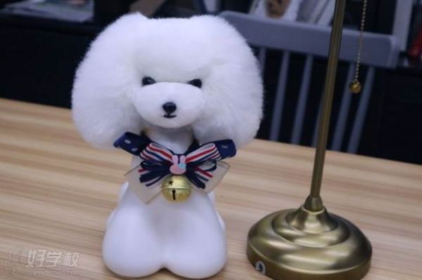 百彤宠物美容作品