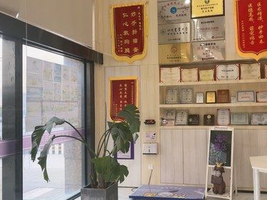 最好的宠物医生
