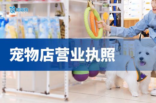 创业开宠物店赚钱吗？宠物店营业执照+许可证办理流程