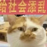 蘑菇蘑菇