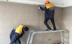 家里的壁纸被宠物和熊海子弄坏了怎么办？