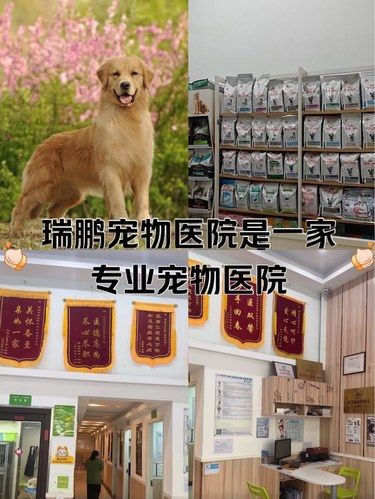 瑞鹏宠物医院是一家专业的宠物医院