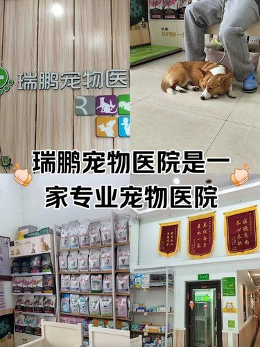 瑞鹏宠物医院是一家非常好的宠物医院