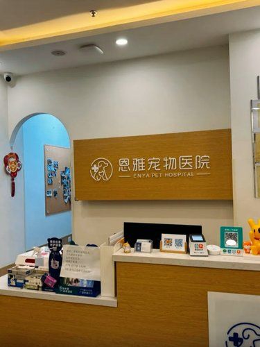 亲测良心宠物医院，必须要夸夸