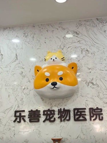 毛孩急诊室，医生和“戏精患者”的过招现场！