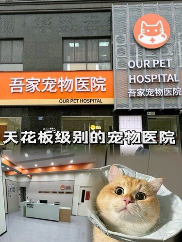 金华的这家宠物医院真的是绝了❗️‼️
