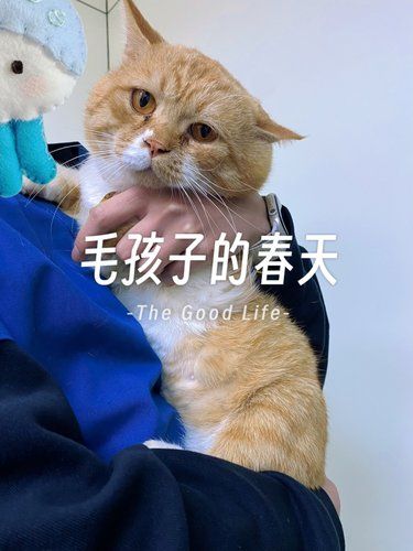 疫苗驱虫+专业护理，这家医院值得信赖！