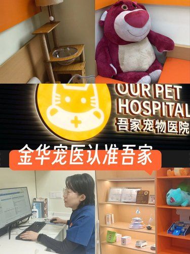 春天到了，万物复苏，但这次猫主子无法喵喵叫啦