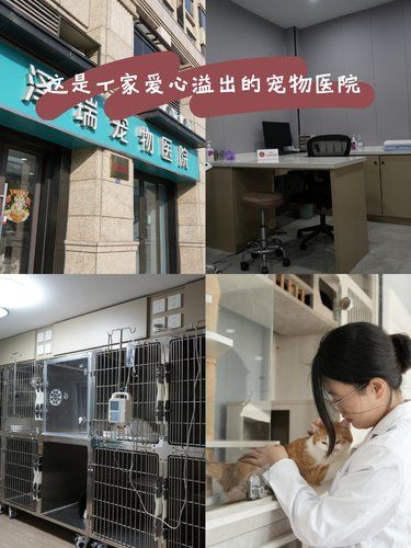 非常好的医院，希望能被更多人看见[玫瑰][玫瑰]