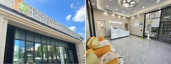 新瑞鹏集团旗下宠物医院:专业与责任并肩,全天候守护“毛孩子”健康