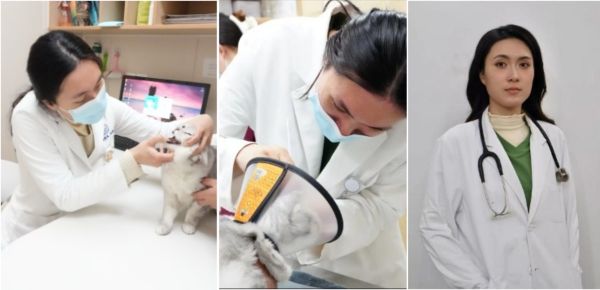 新瑞鹏集团旗下宠物医院:专业与责任并肩,全天候守护“毛孩子”健康