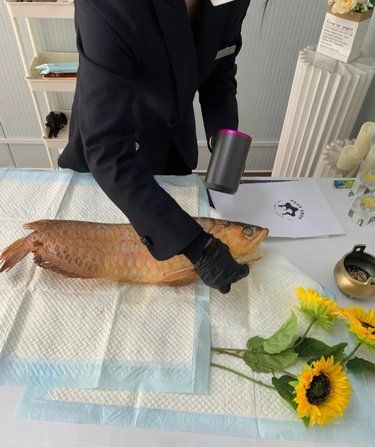 天津铲屎官必存！这家宠物殡葬店让告别充满温度