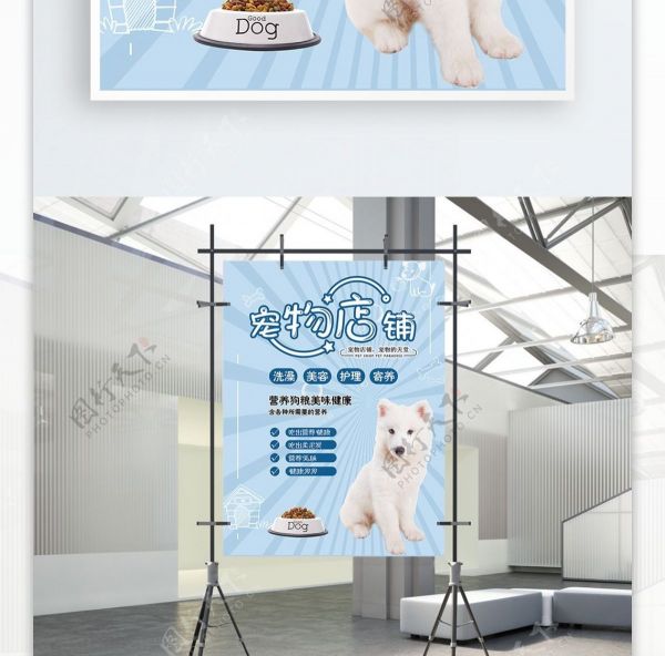宠物店铺萌宠商店简约大气宠物商店海报