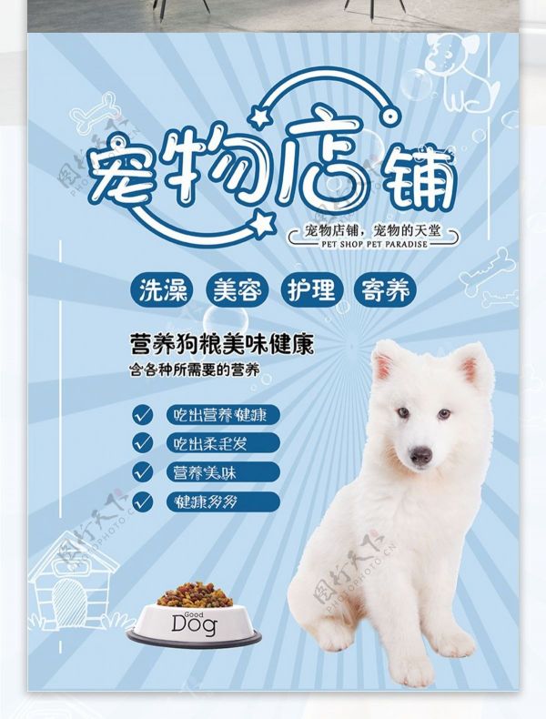 宠物店铺萌宠商店简约大气宠物商店海报