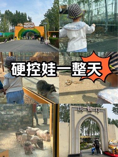 低幼遛娃好地方，喂动物、遛遛、挖土…啥都有