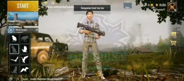 和平精英宠物狗介绍 和平精英ss6宠物狗子一览2