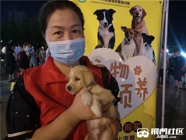 重庆宠物领养中心地址查询（重庆宠物之家免费领养）